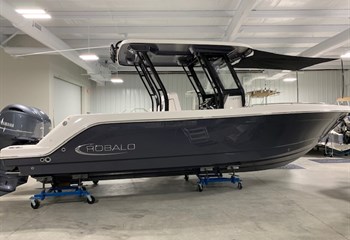 2022 Robalo R272 Shark Gray  Boat